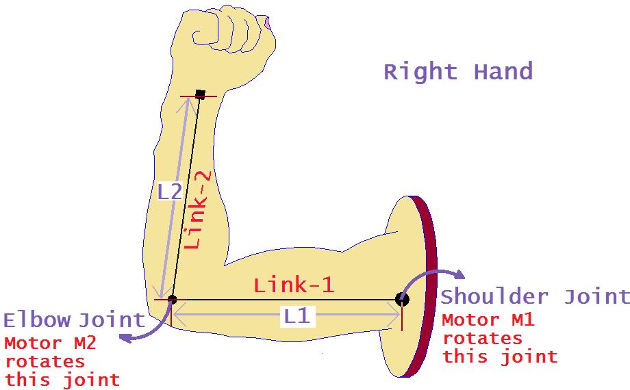 Analogy with human arm